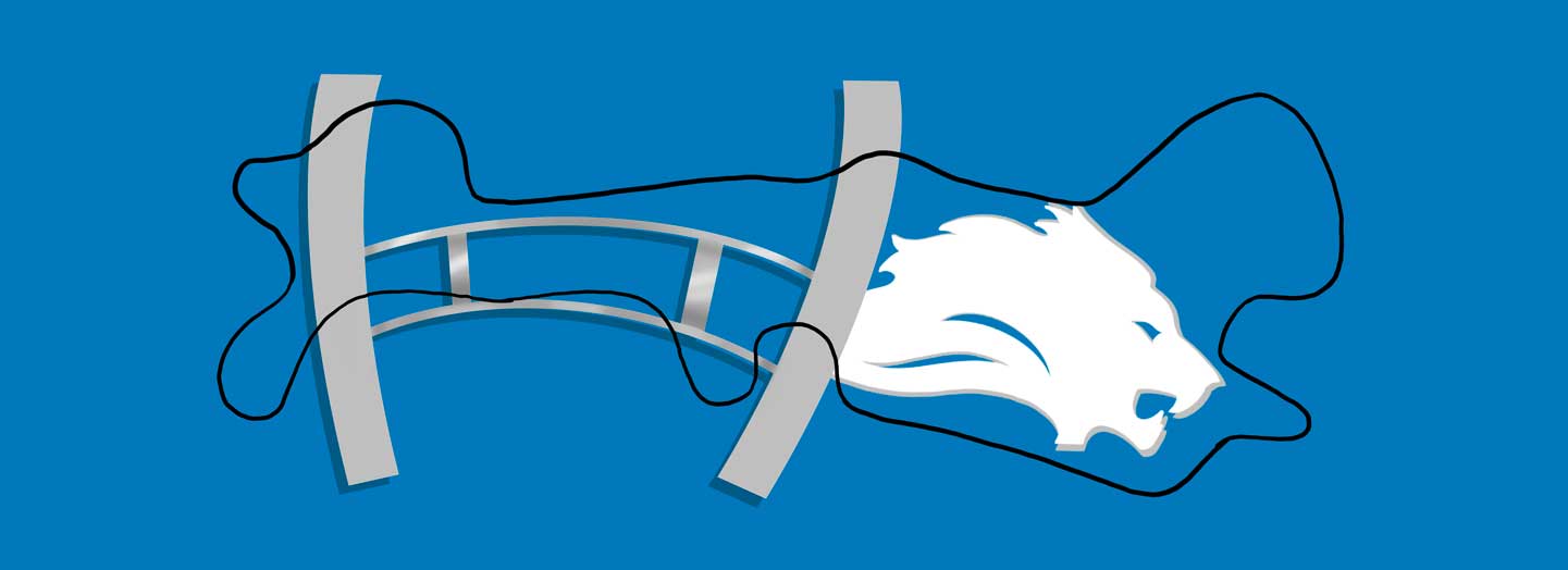 Detroit Lions Football Inspired cranial helmet decal with helmet outline