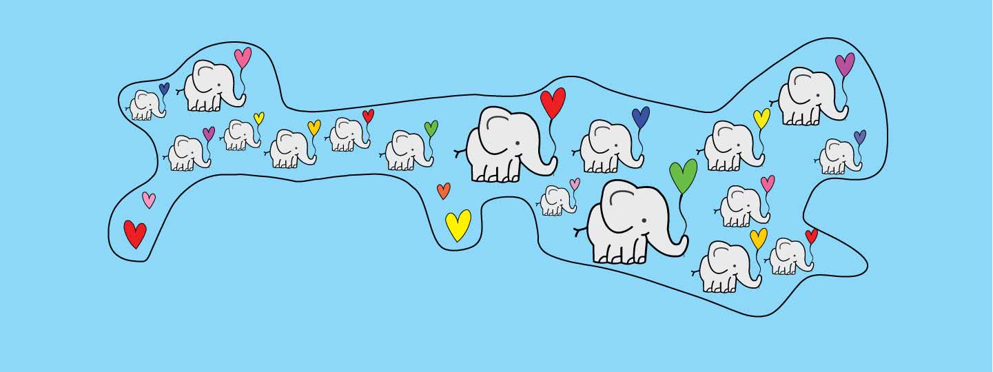 dob and wrap printed with elephants and heart shaped balloons with background in blue