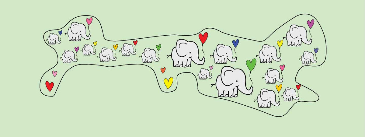 dob and wrap printed with elephants and heart shaped balloons with background in mint green