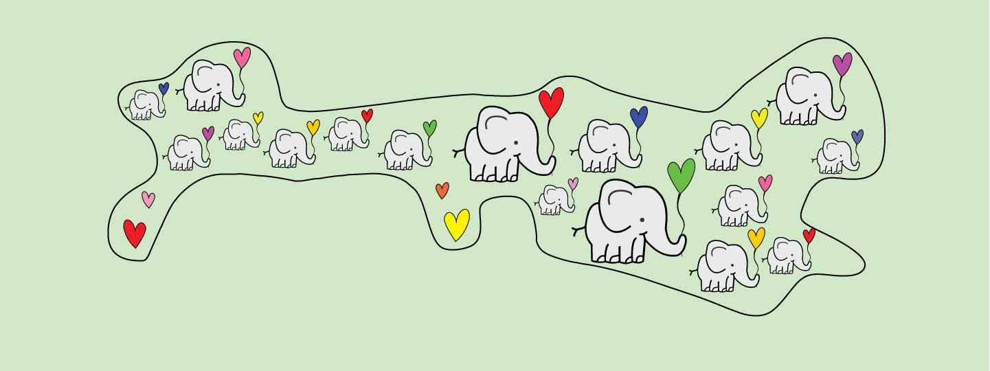 dob and wrap printed with elephants and heart shaped balloons with background in mint green