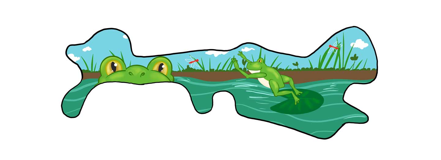 cranial helmet wrap printed with a frog and pond