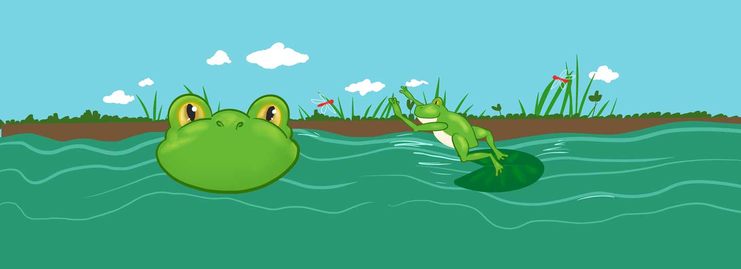 frog pond cranial helmet decal