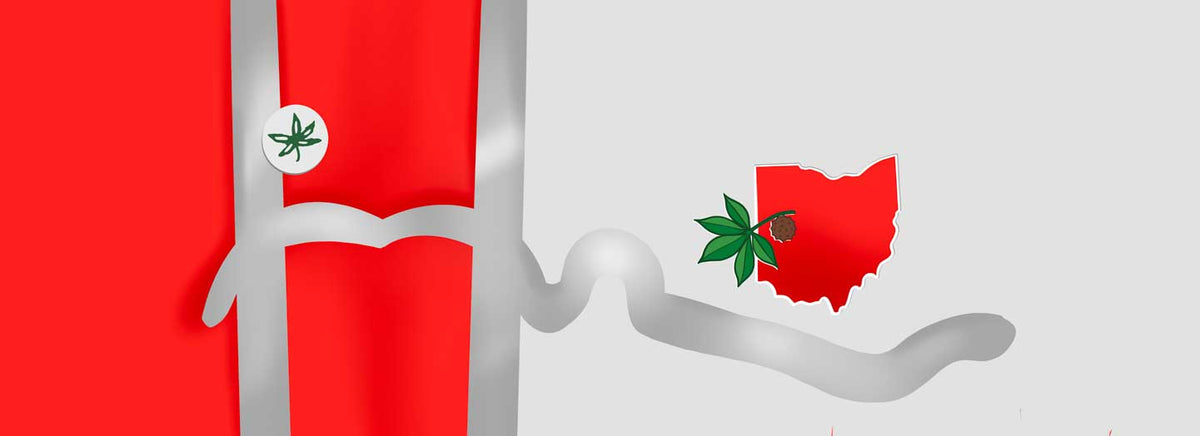 Ohio State Football Inspired cranial helmet wrap ready to print and apply