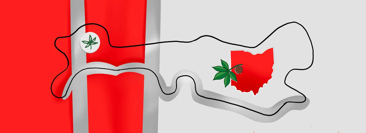 Ohio State Football Inspired cranial helmet wrap with cranial helmet outline.