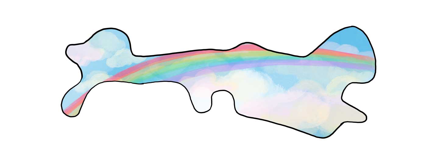 Rainbow Inspired Doc Band Wrap