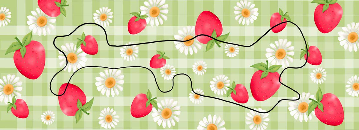 Summer Strawberry and Flowers Doc Band Wrap with the doc band outline in the image.