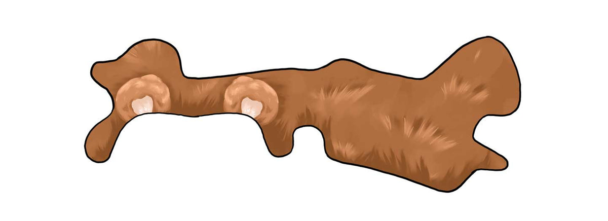 Teddy Bear Doc Band Wrap